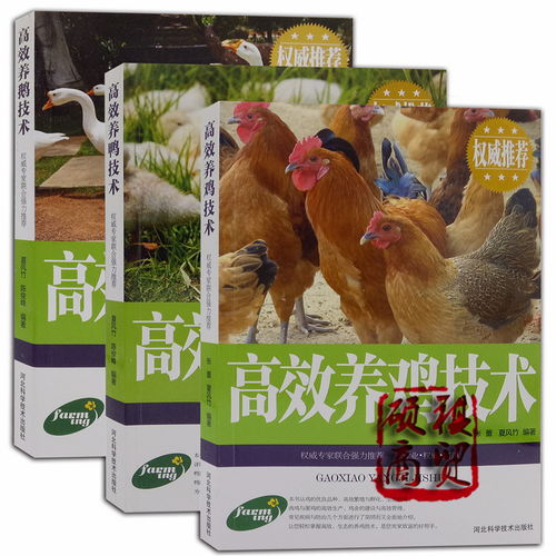 “高效养禽技术与生态饲养之全攻略”,